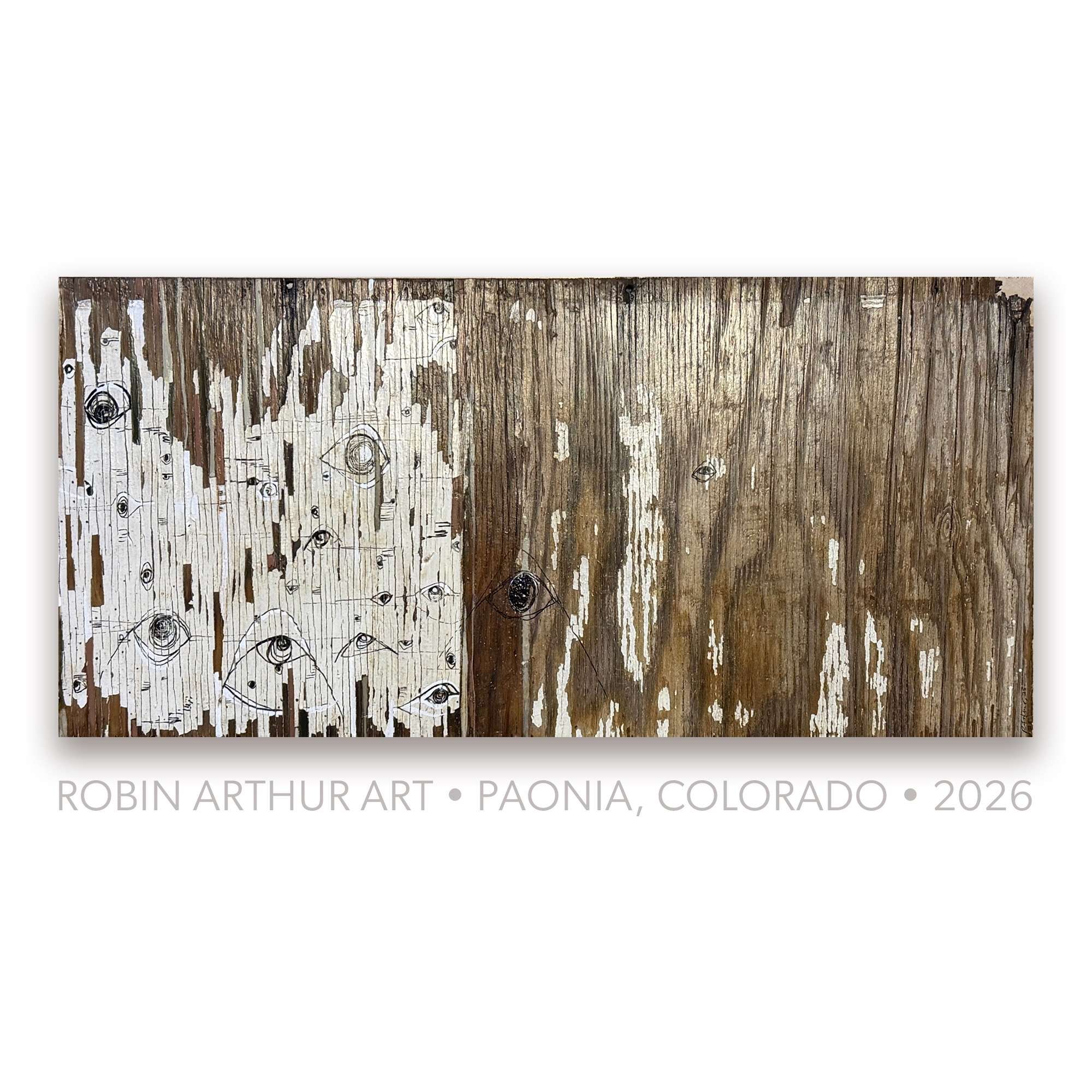 Colorado Artist Robin Arthur Timber and Bone, Reclaimed wood aspen art collection