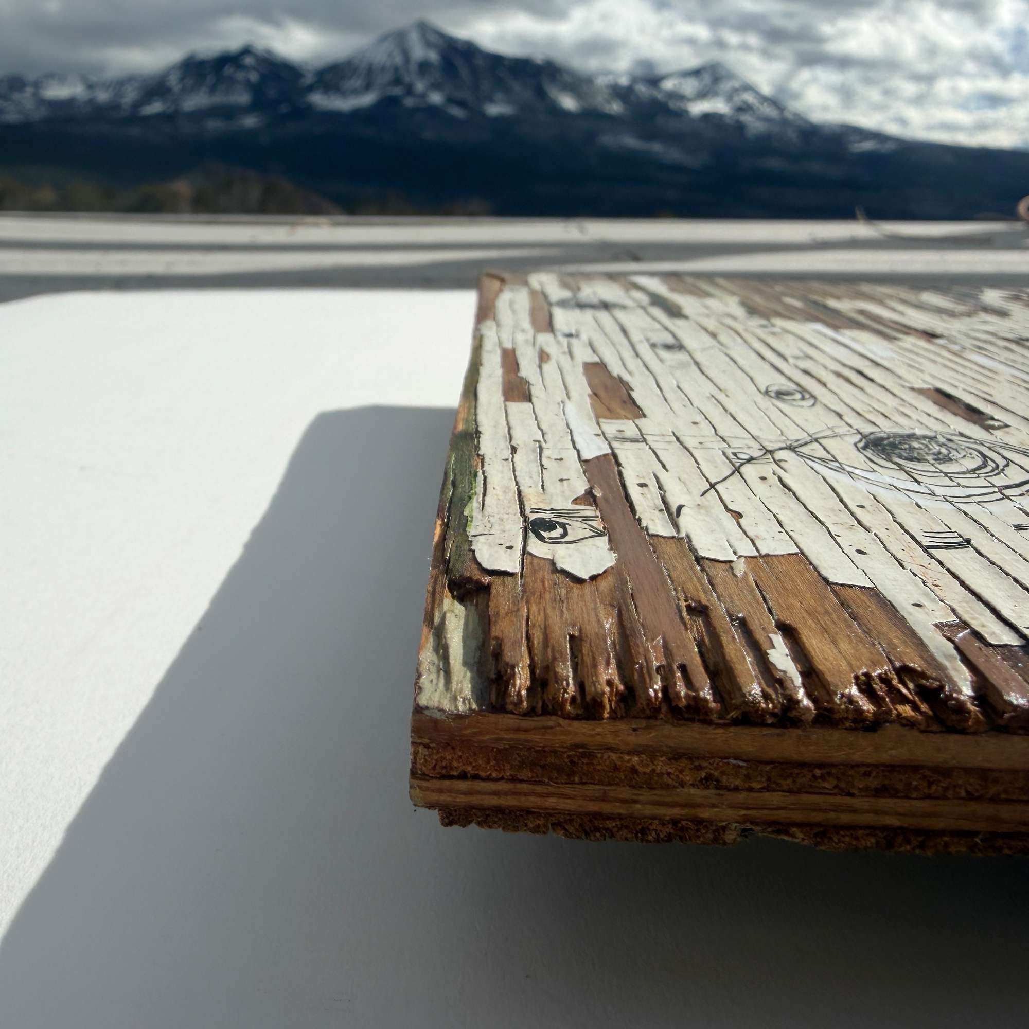 Reclaimed wood aspen art by Colorado Artist Robin Arthur